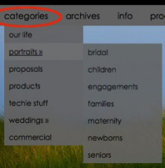 categories clip